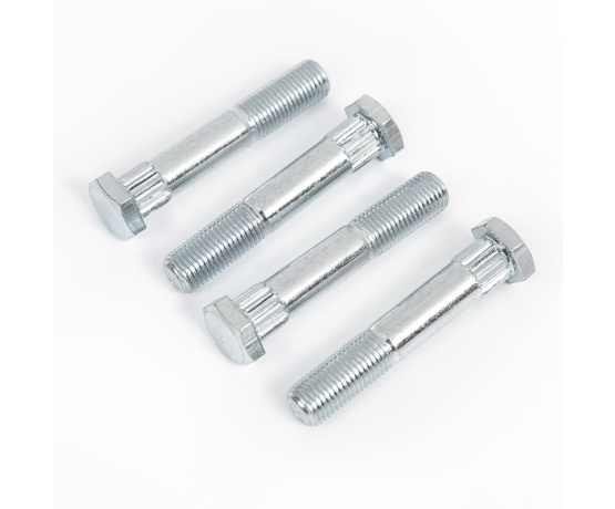 Steel Kingpin fitting Zena