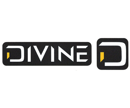 Samolepka DIVINE + logo – malá černá