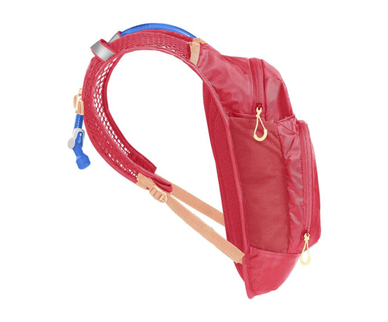 CAMELBAK Mini MULE Pink Flowers