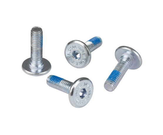 DCM Mounting Screw 19mm